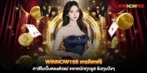 Winnow168 Free Credit